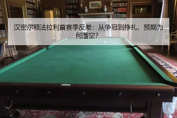 han-mi-er-dun-fa-la-li-shou-sai-ji-fan-cha-cong-zheng-guan-dao-zheng-zha-yu-qi-wei-he-luo-kong-3-161.jpg