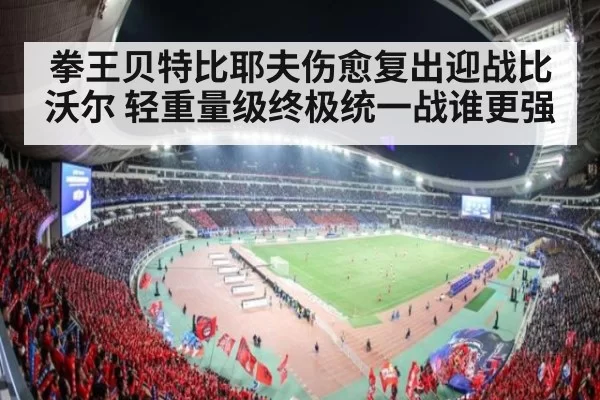 拳王贝特比耶夫伤愈复出迎战比沃尔 轻重量级终极统一战谁更强