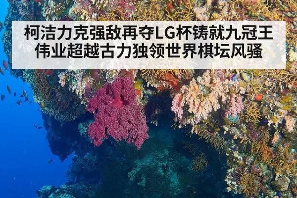 柯洁力克强敌再夺LG杯铸就九冠王伟业超越古力独领世界棋坛风骚